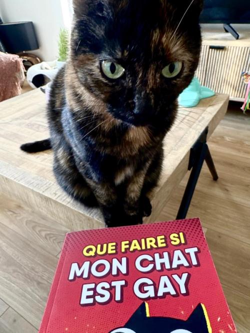 Photo de lecteur