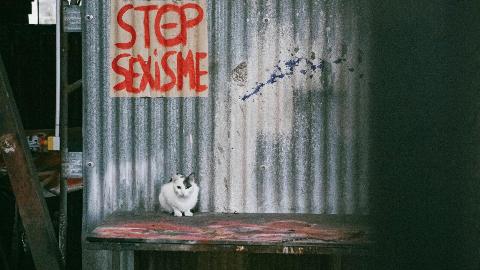 Is My Cat a Leftie? 6 Worrying Signs (and How to Handle a Whiskered Revolutionary)