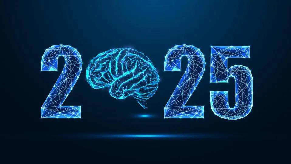 2025: The Year in LLMs - A Comprehensive Review