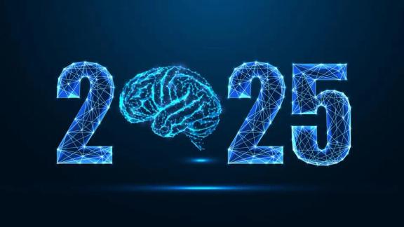 2025: The Year in LLMs - A Comprehensive Review