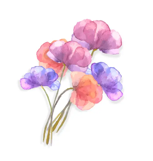a loose posy of watercolour flowers, poppy-like with big translucent petals, in pink, purple and peach