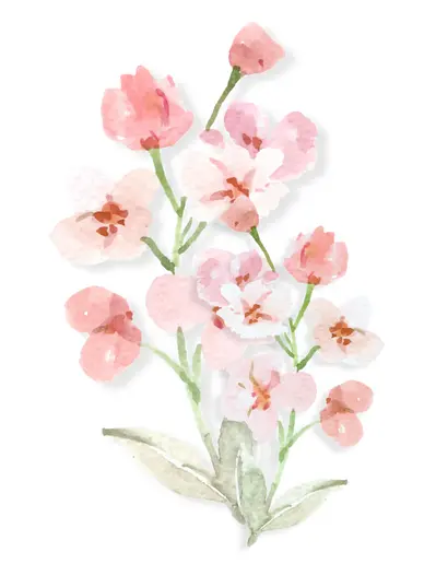 watercolour of a cluster of wildflowers in shades of pink and sage green, with a subtle shadow effect