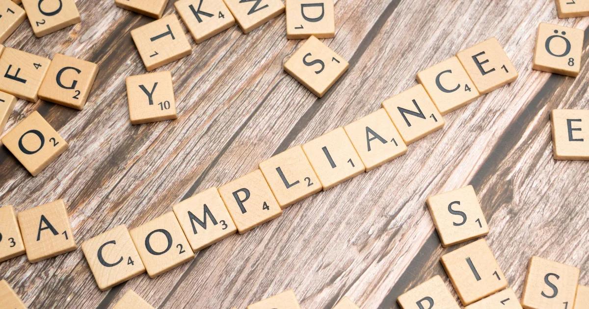 Professional reviewing an accessible digital civic procurement audit dashboard