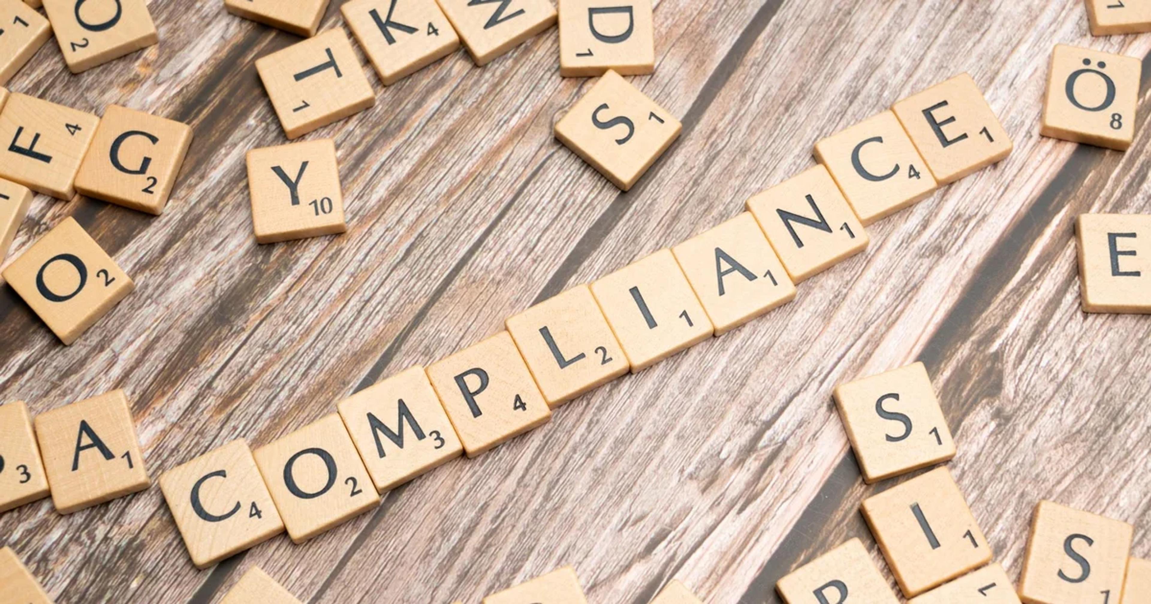 Professional reviewing an accessible digital civic procurement audit dashboard