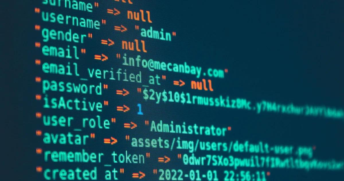 Developer working on ADA compliance for civic APIs on a screen
