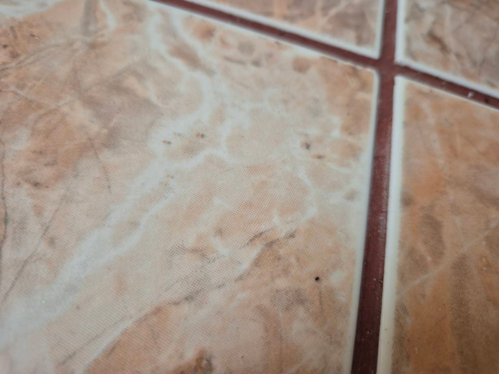 Галерия почистване Бургас