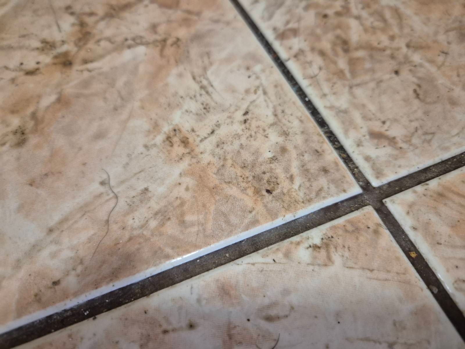 Галерия почистване Бургас