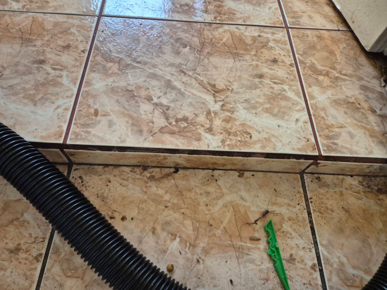 Галерия почистване Бургас