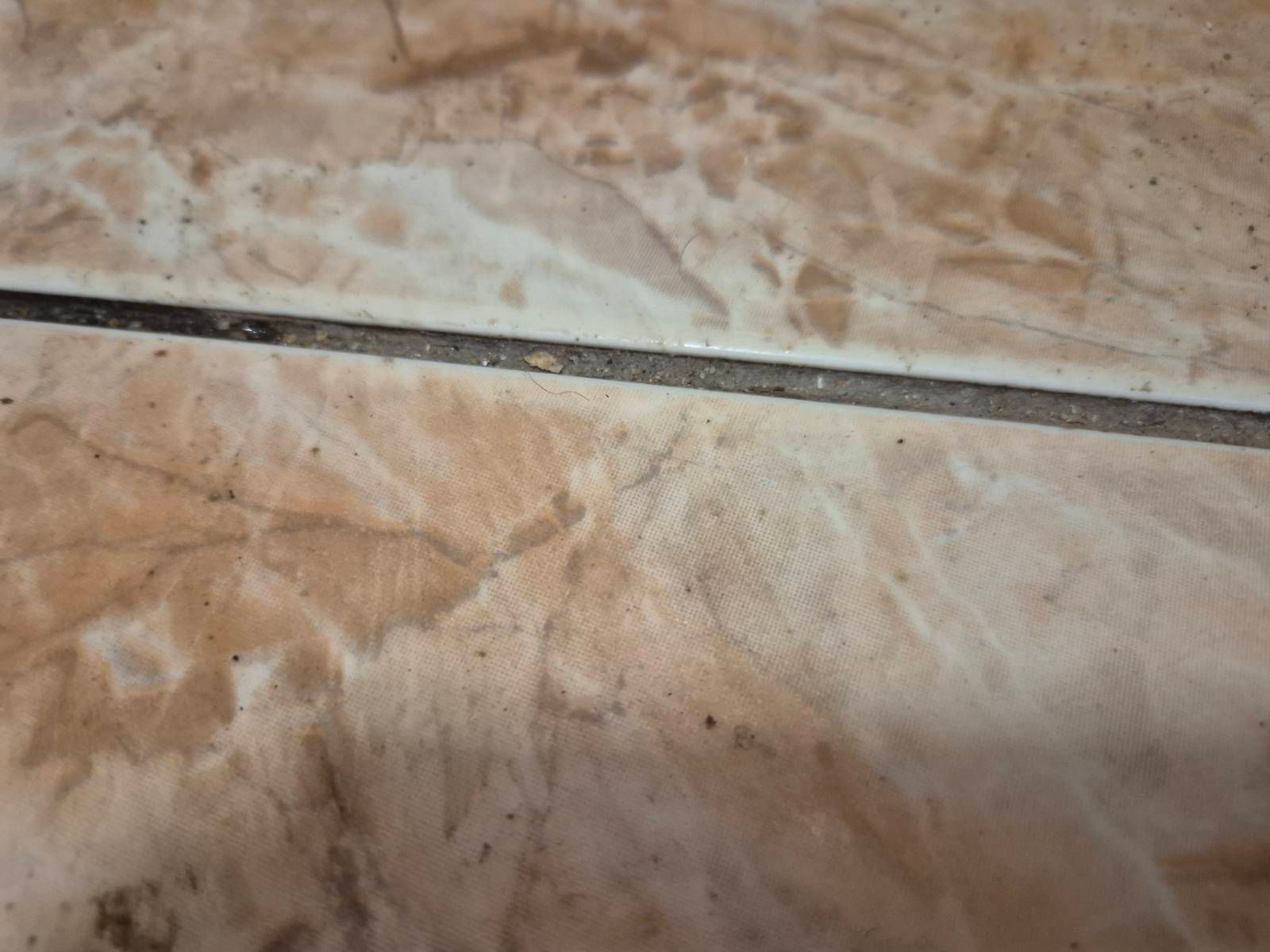 Галерия почистване Бургас