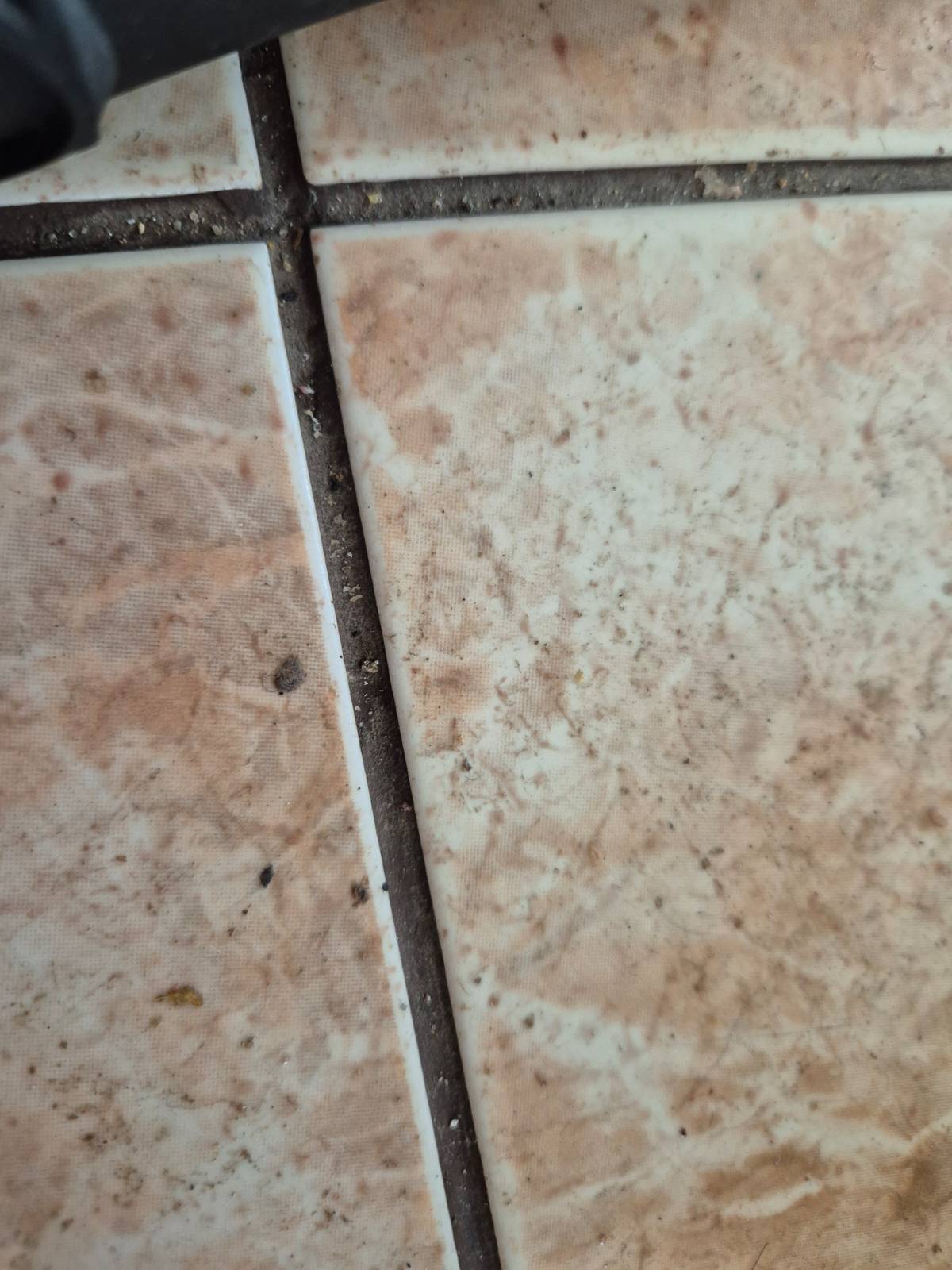 Галерия почистване Бургас