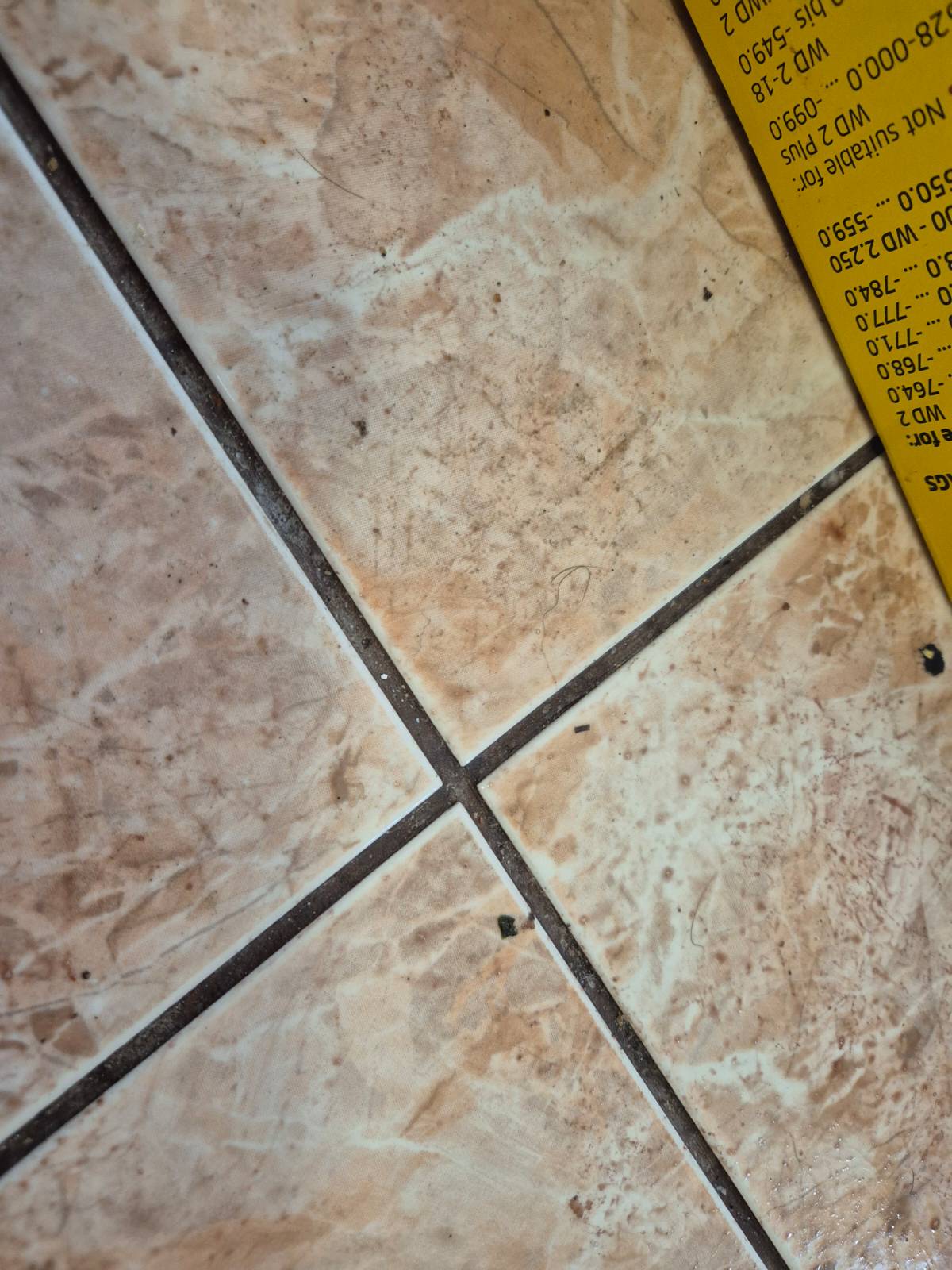 Галерия почистване Бургас