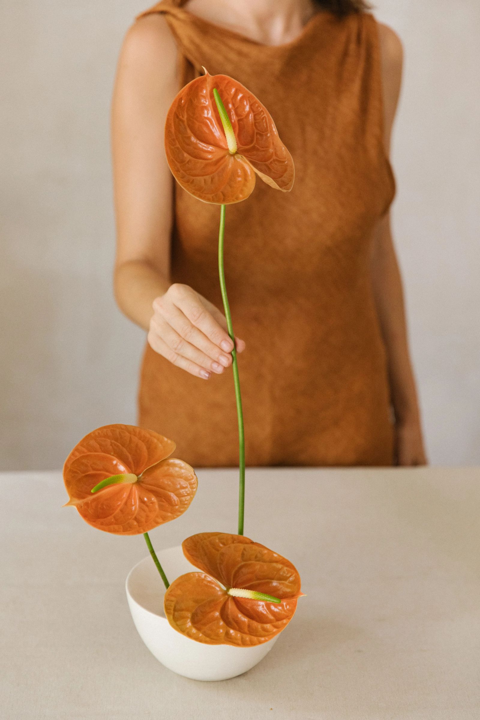 Alblanc Atelier — 4