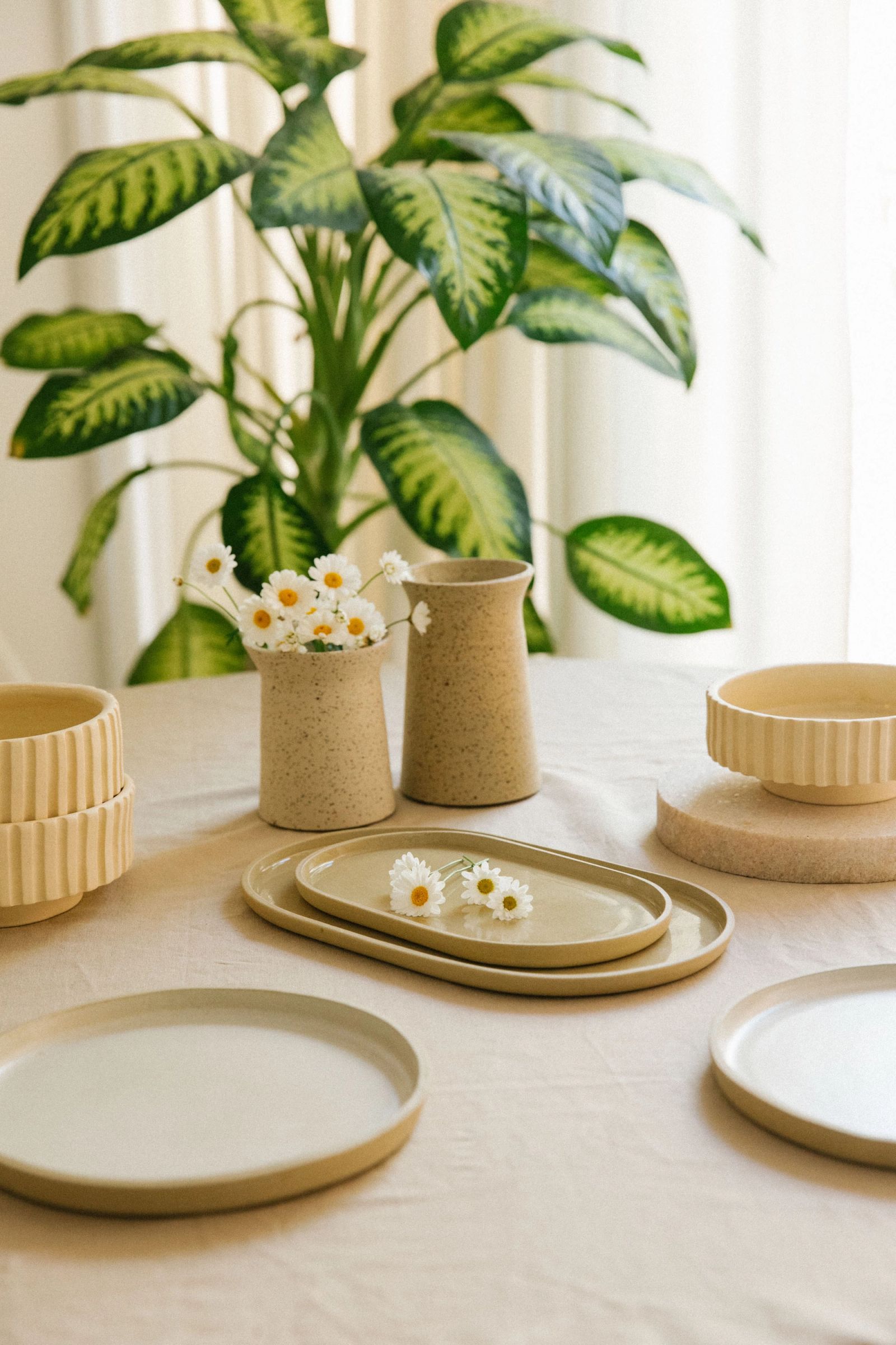 Vela Ceramics — 6