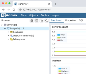 pgAdmin dashboard