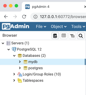 pgadmin4 database