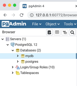 pgadmin4 database