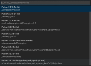 Vscode python interpreter selection