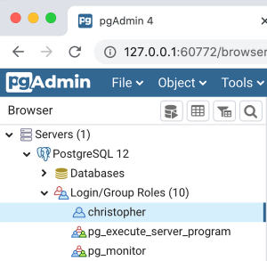 pgadmin login group roles user