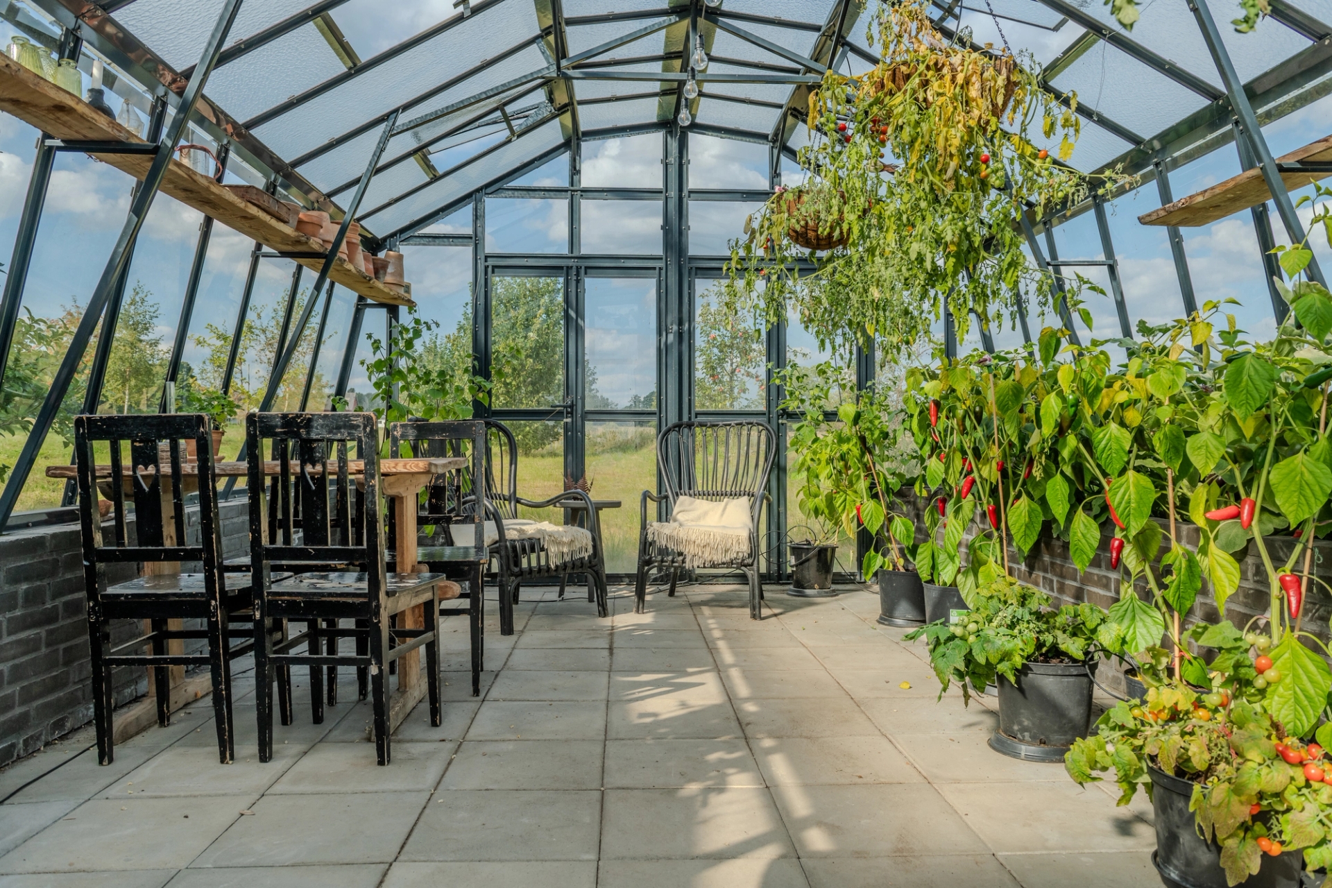 Växthus variant 426 med öppen dörr och fint klimat