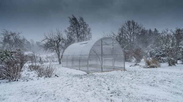 Växthus Vidar 300 i stormen Johannes 