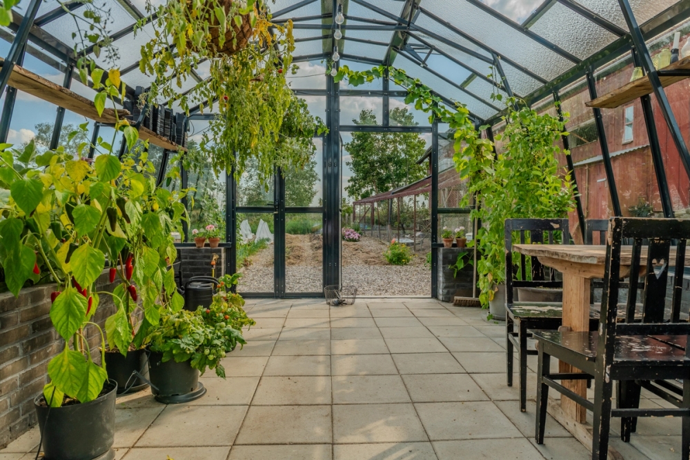 Veksthus Variant 426 med murt sokkel, innvendig med chilidyrking og stilren innredning.