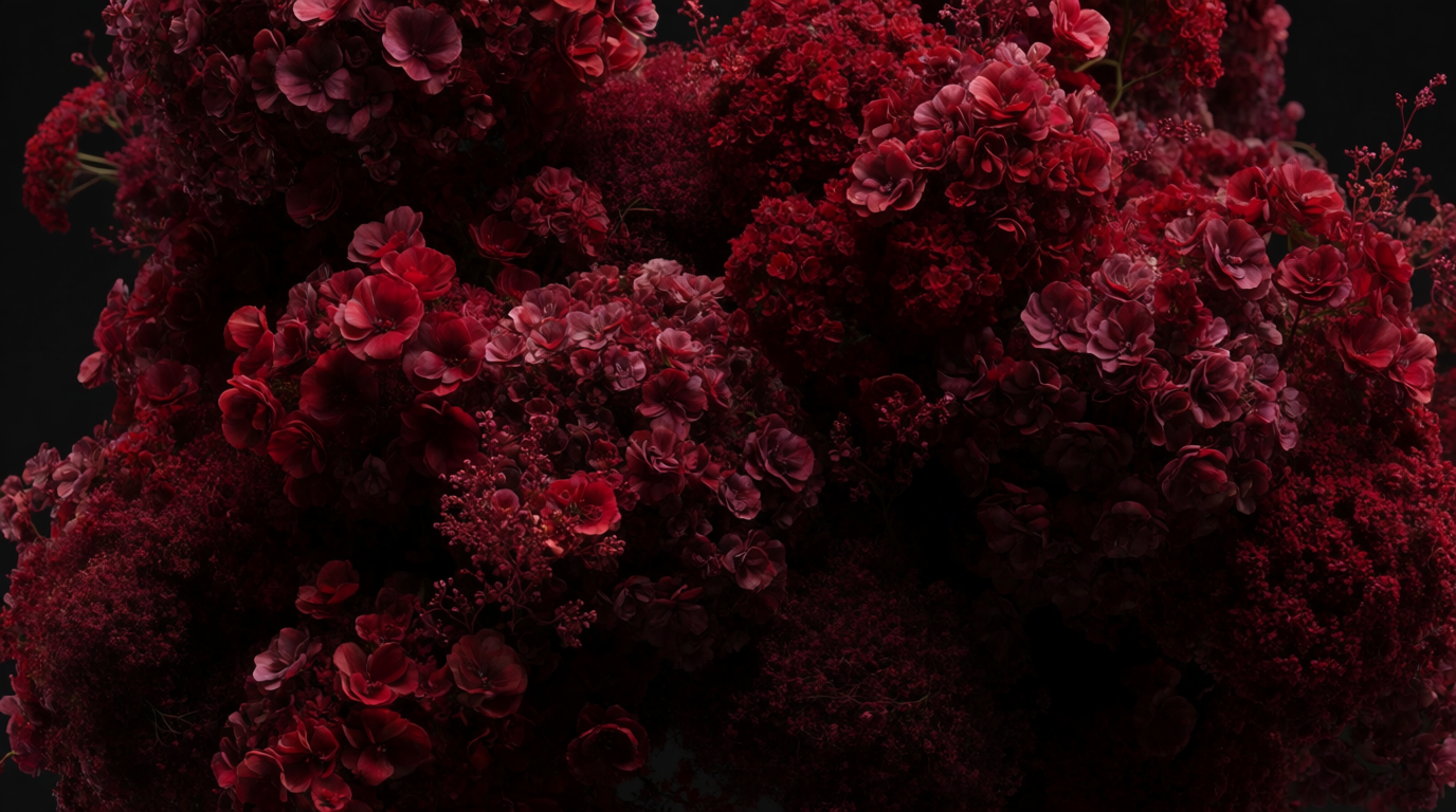 VALENTINO, picture 9