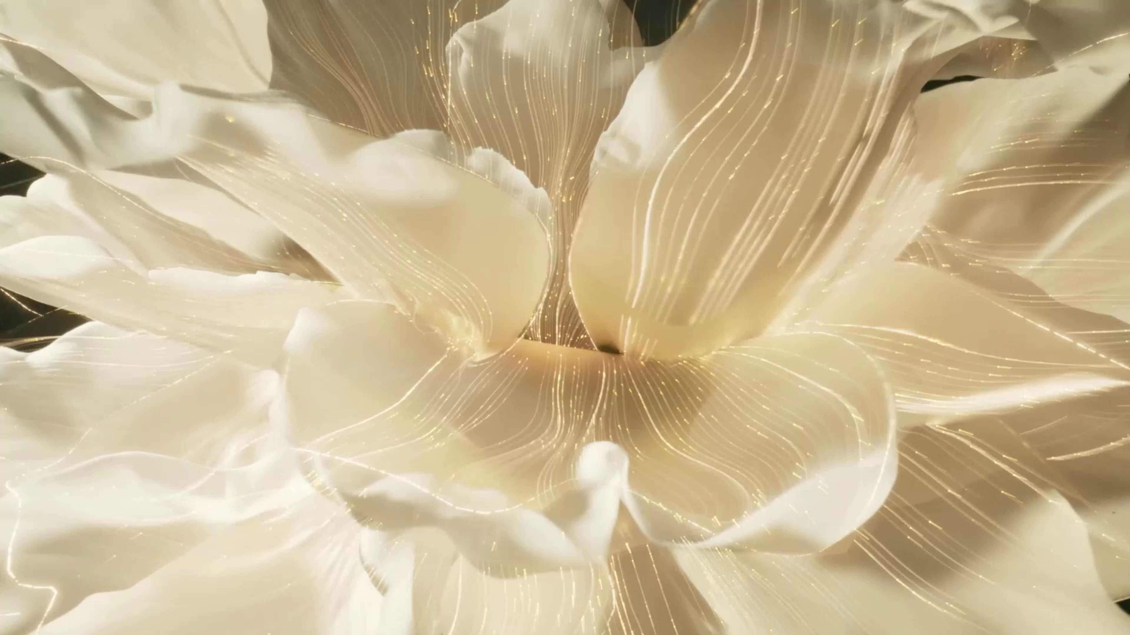 LANCÔME, picture 4