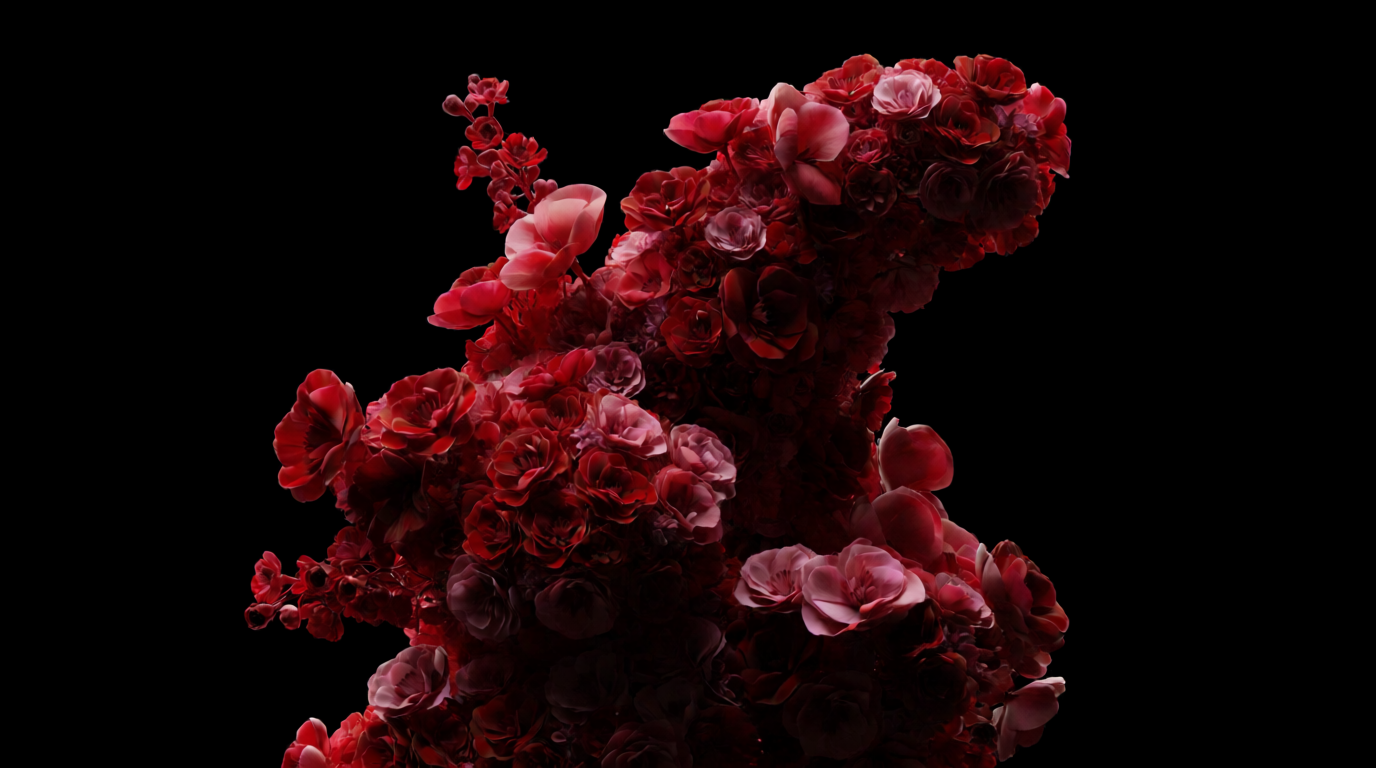 VALENTINO, picture 10