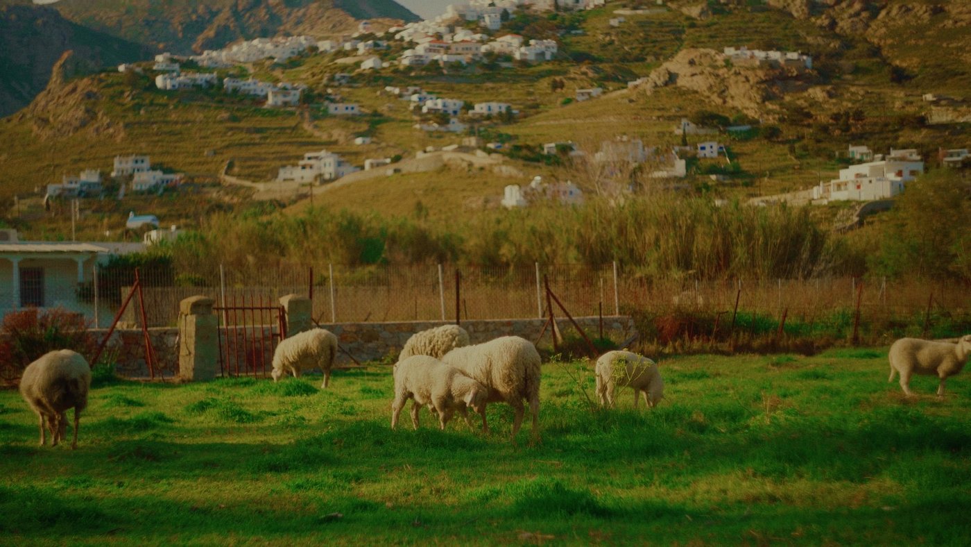 Serifos, Field Notes