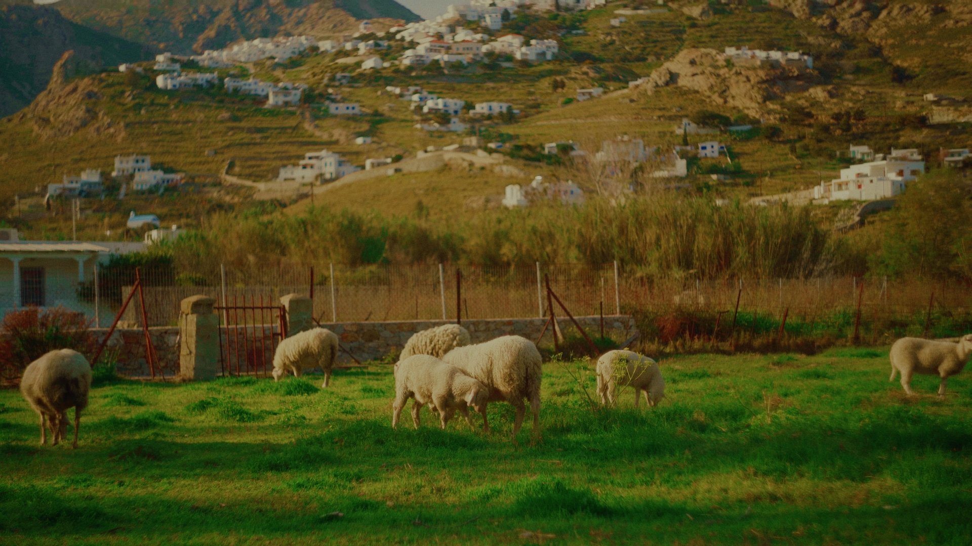 Serifos, Director: Yannis Papanastasopoulos