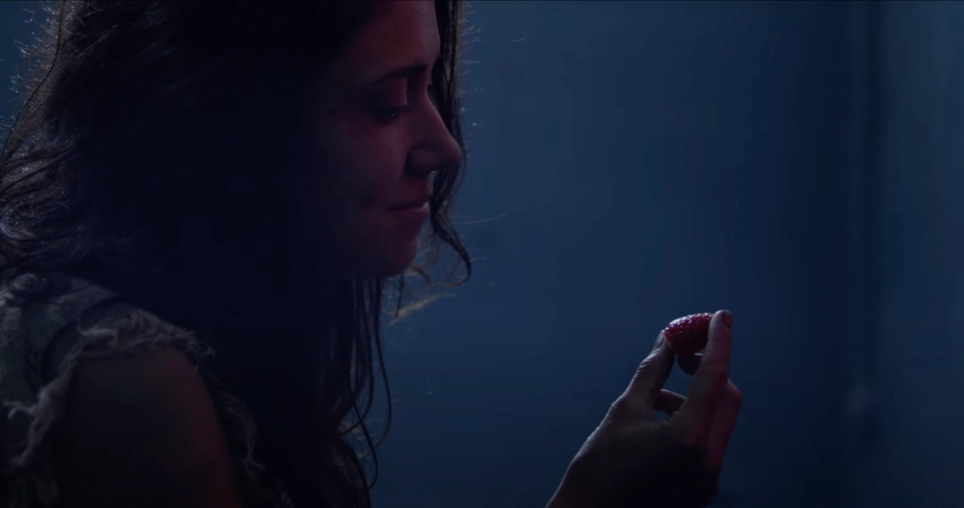 Strawberries, Commercial