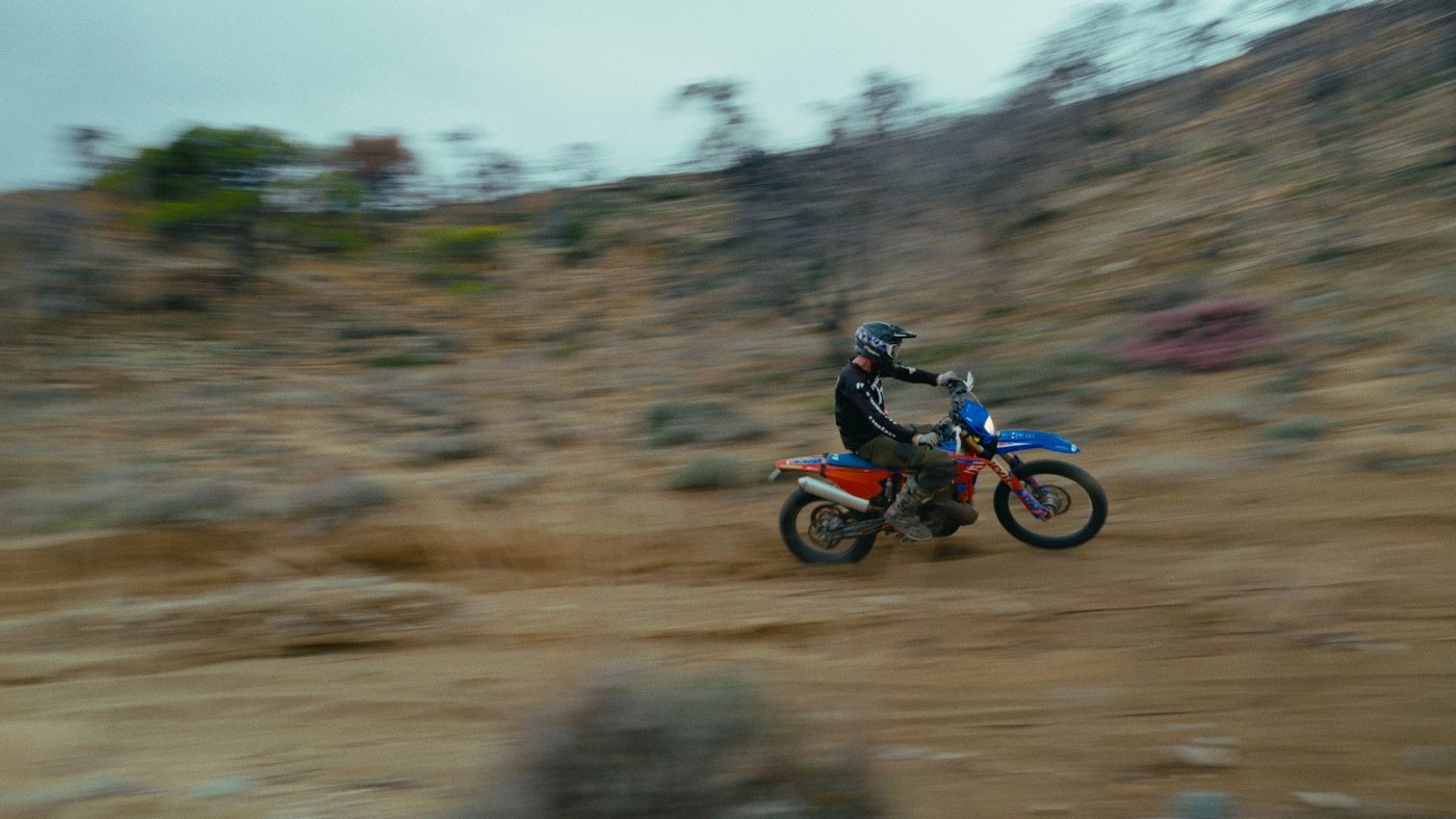 Sony, Commercial