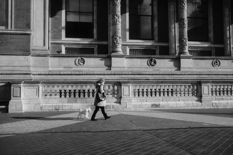 A woman walking a small white dog past a columned building in low winter sun. London's Untold Stories, photograph by Yannis Papanastasopoulos