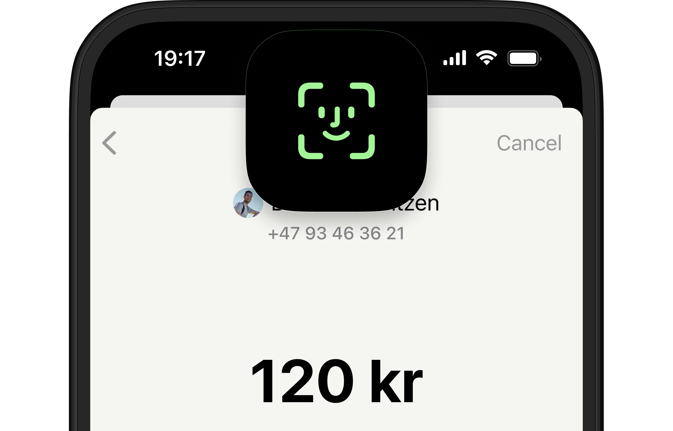 You need to approve every time you pay