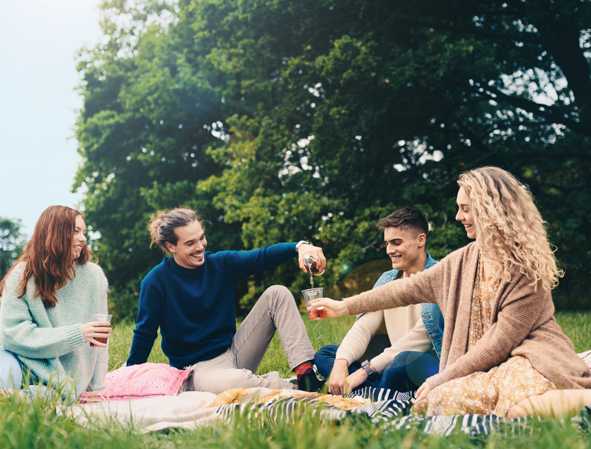 Four smiling young adults having a picnic in a park.
