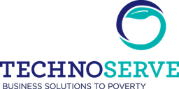 Techno Serve logo