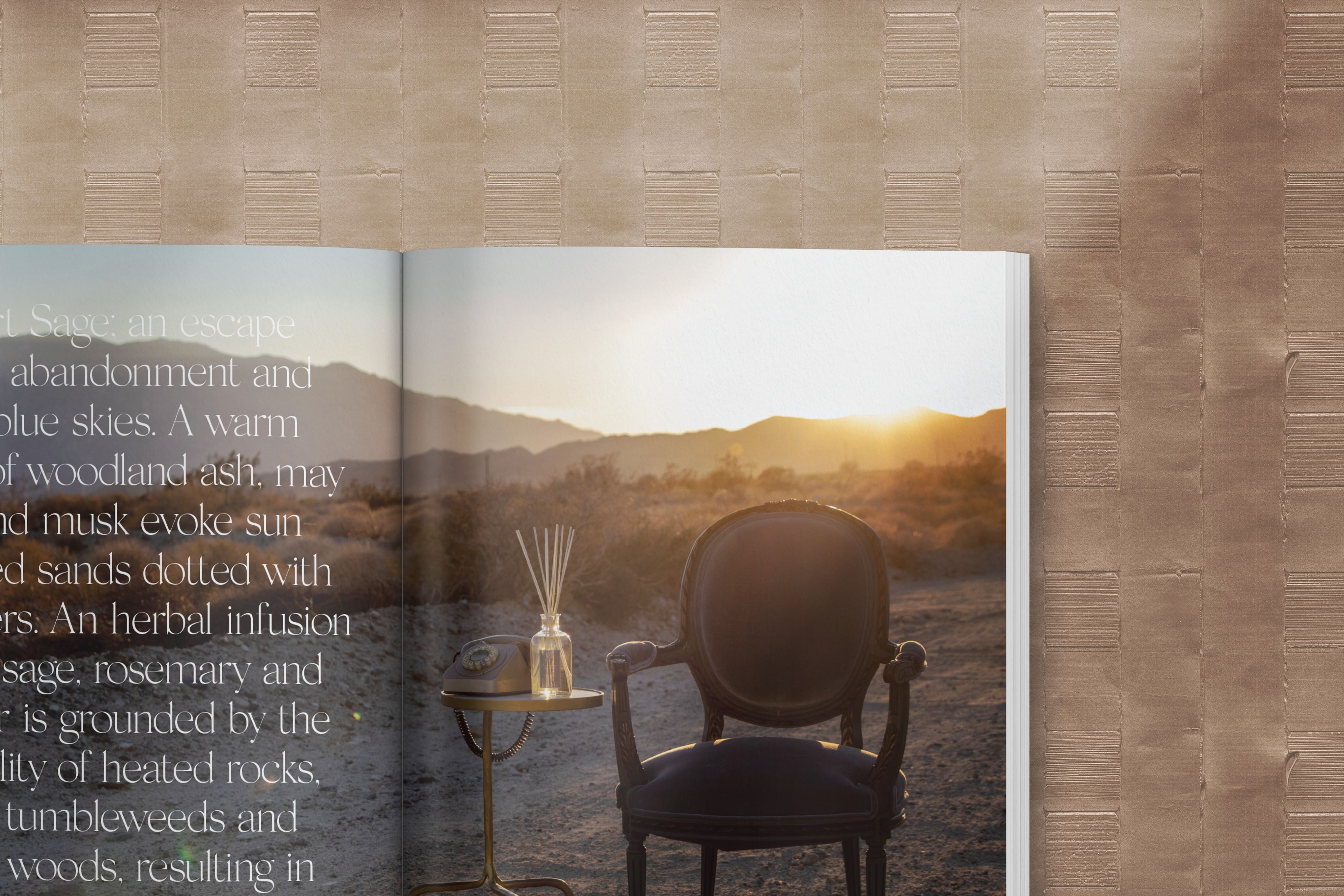 I laid out every spread by hand, sequencing Shelley's photography into one continuous desert world.