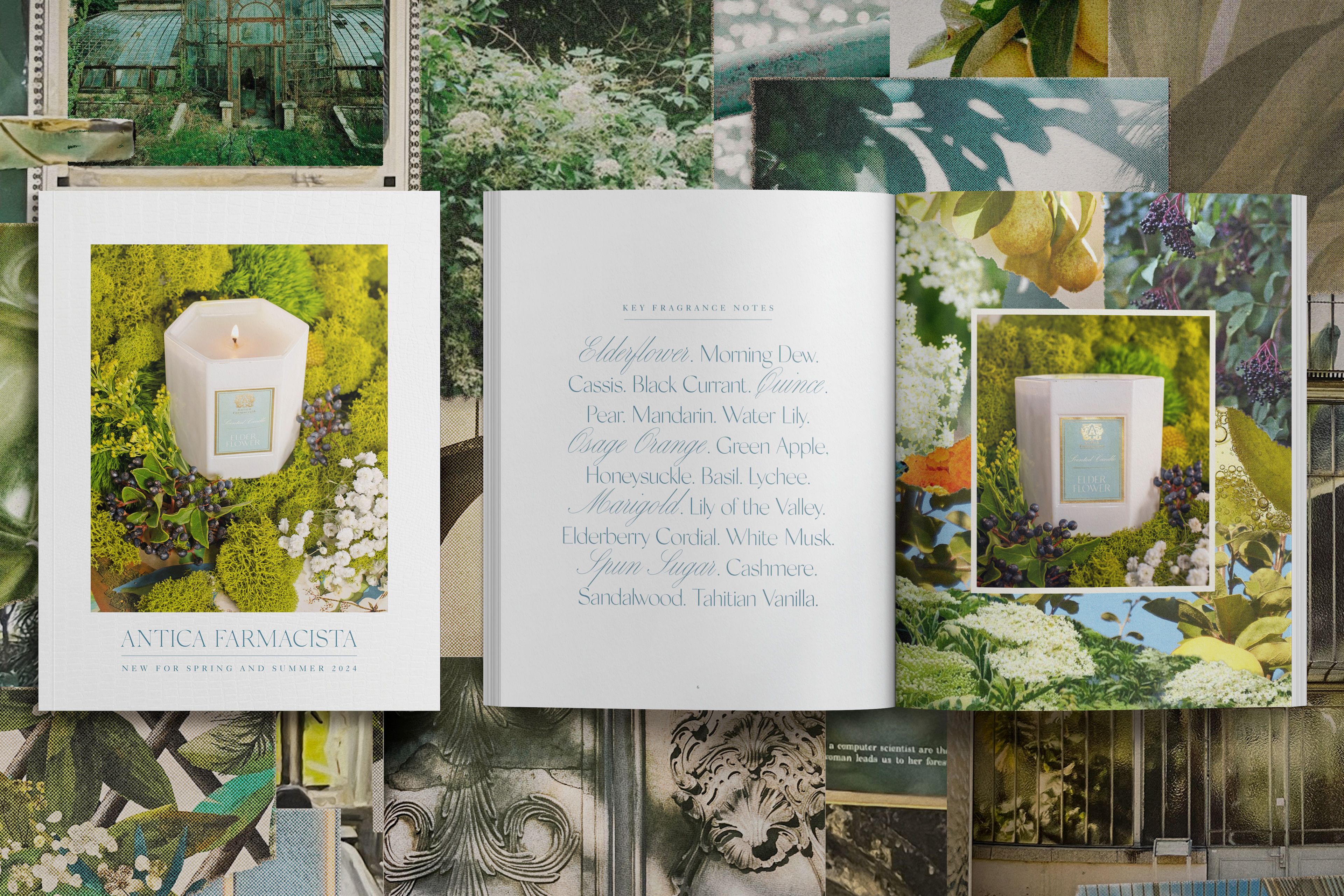 The cover, and the notes: elderflower, morning dew, cassis, water lily. A scent built for botanophiles.