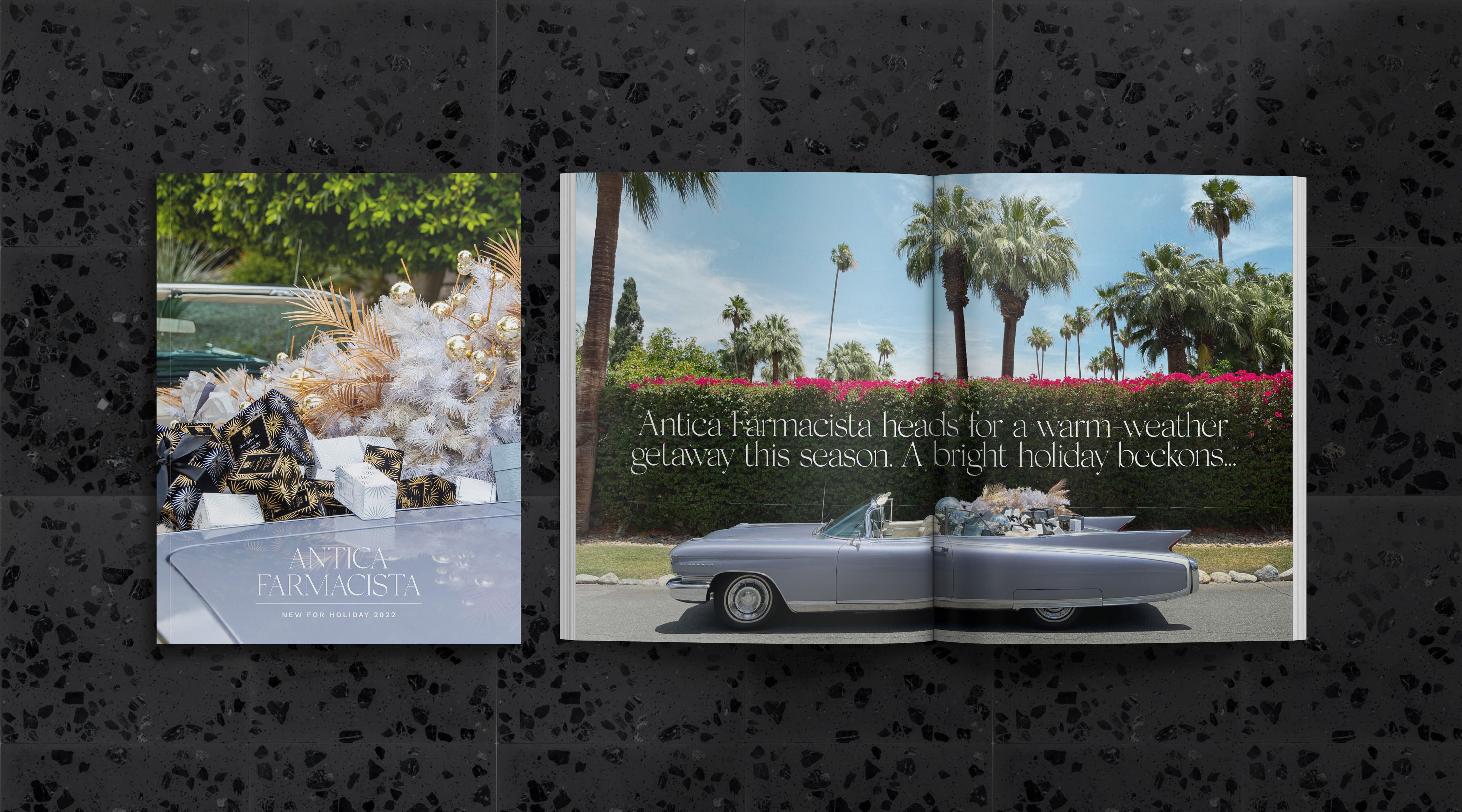The holidays, moved to Palm Springs. A vintage Cadillac loaded with gifts, palms and bougainvillea where the snow should be.