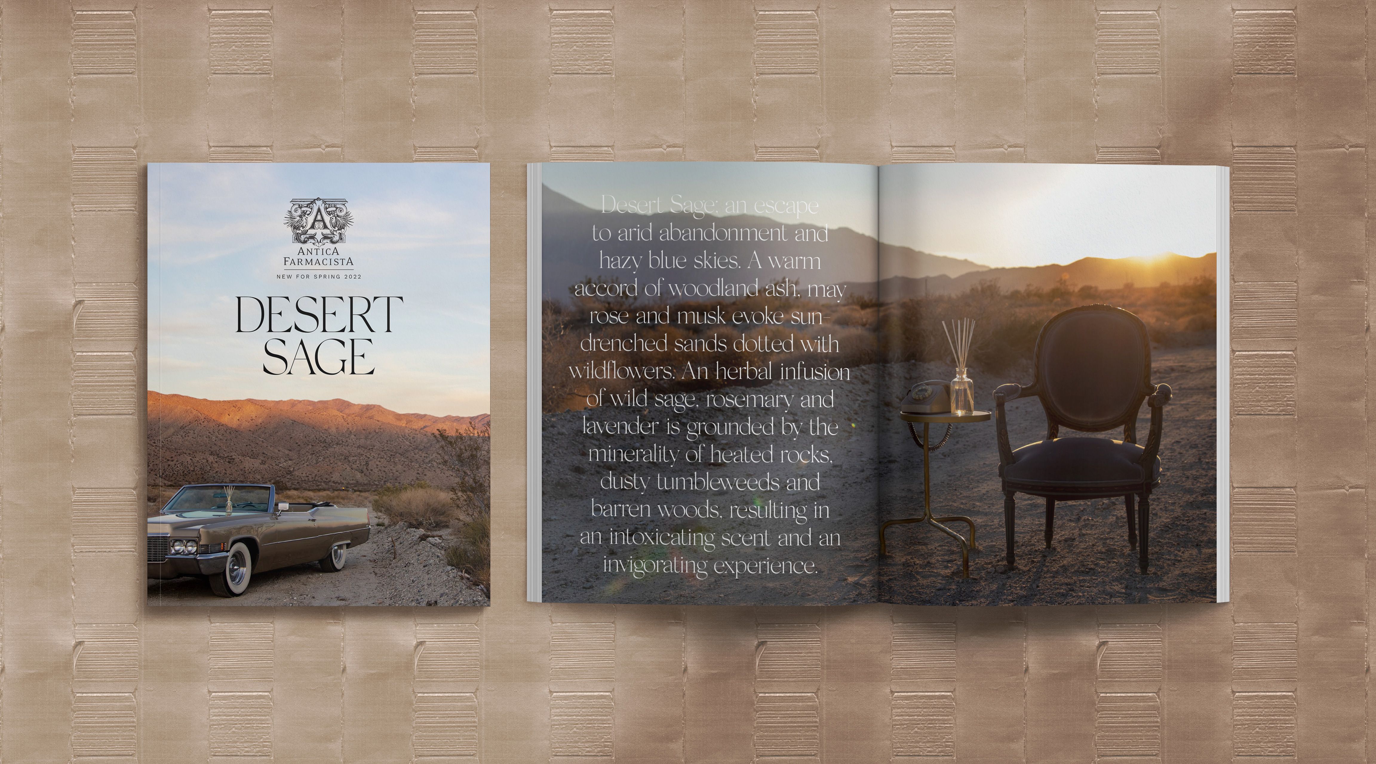 The desert became the set. A Louis XVI chair from a Palm Springs estate sale, a vintage gold Cadillac, and the two of us waiting for the light to drop across the dunes.