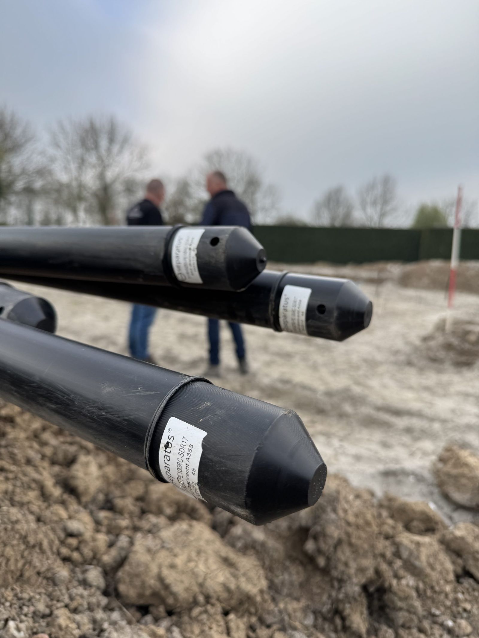 separatus starts in the Dutch market