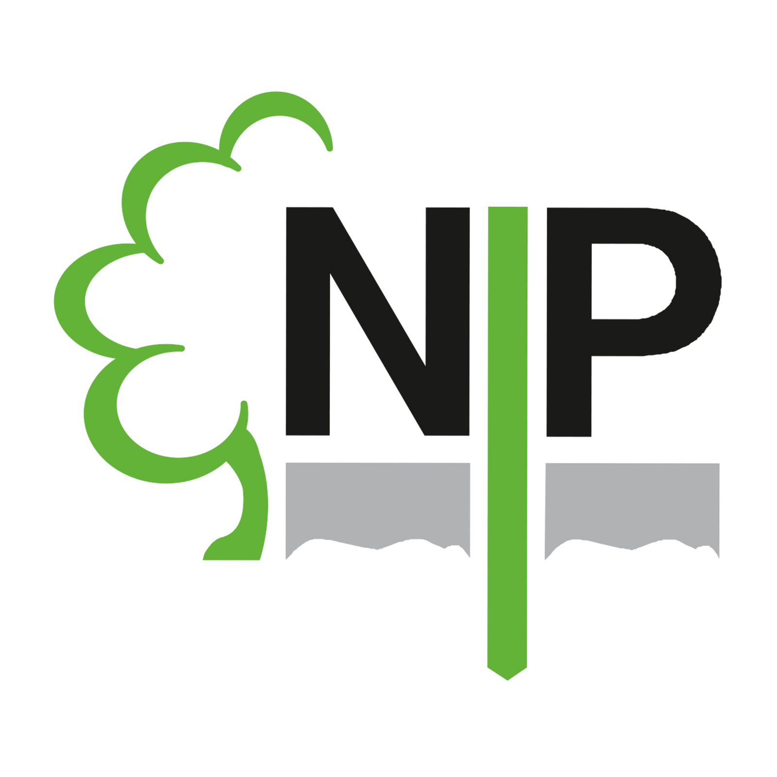 Logo Nöring & Preißler GmbH