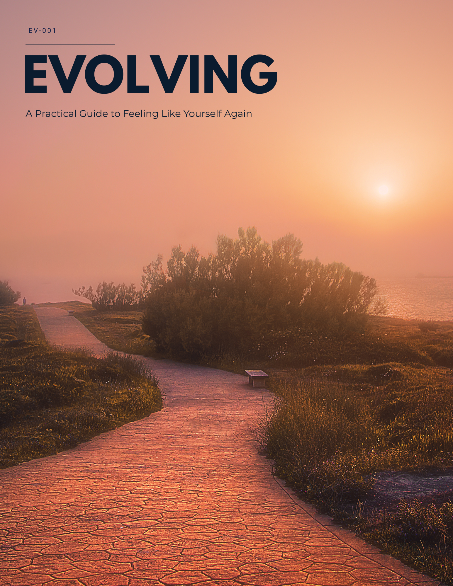 EVOLVING men’s wellness guide cover featuring a warm sunrise over a winding pathway through a coastal landscape, with the title “EVOLVING” and subtitle “A Practical Guide to Feeling Like Yourself Again.”