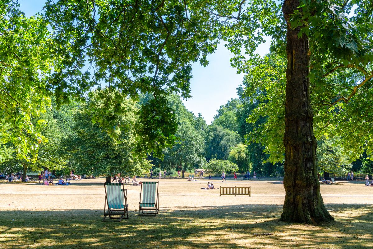 deck-chairs-under-shade-of-tree