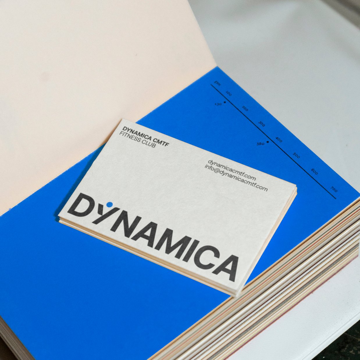 Dynamica cmtf graphic design palestra limena gym logo padova francesco tognin digital designer