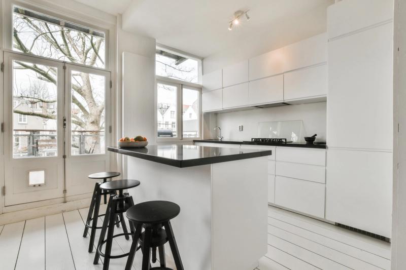 Tweede Jan Steenstraat 113 1