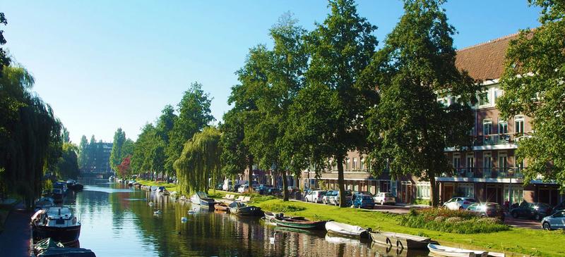 De Baarsjes Amsterdam: ontdek deze populaire wijk