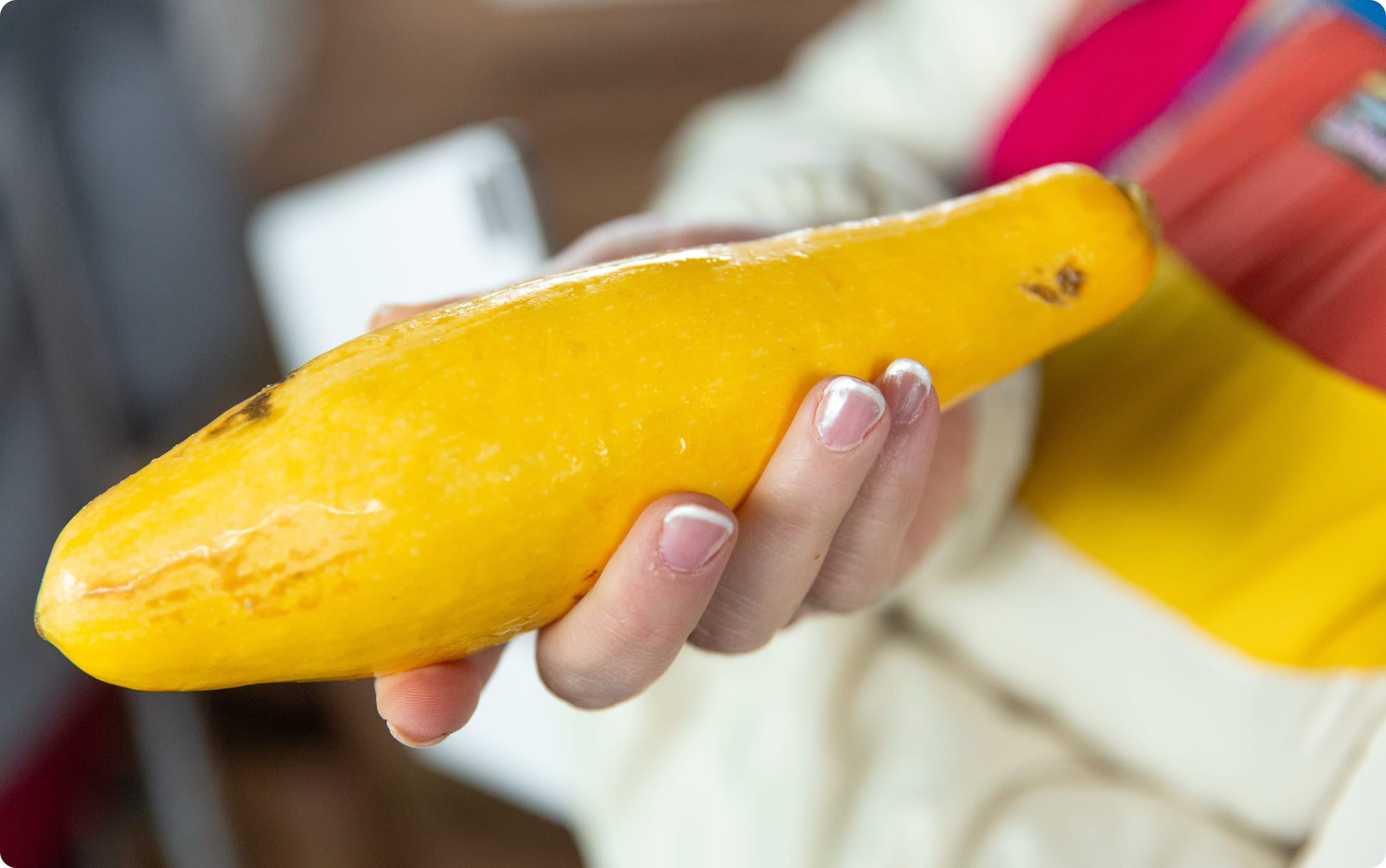 Portfolio detail media 2-3