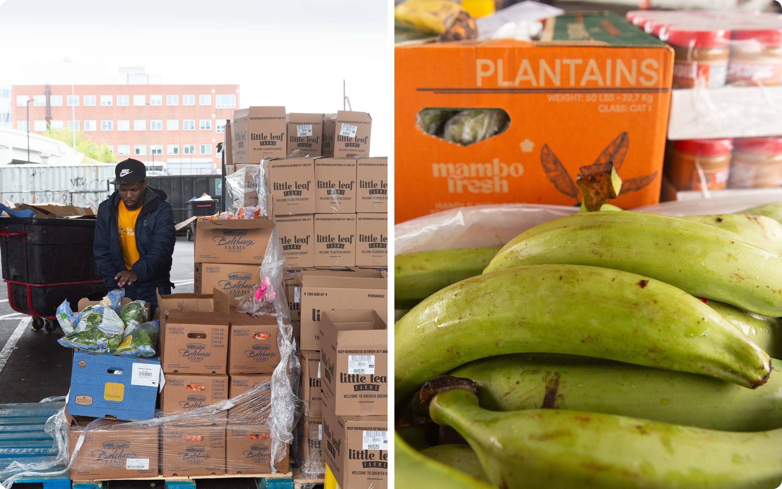 Portfolio detail media 2-2