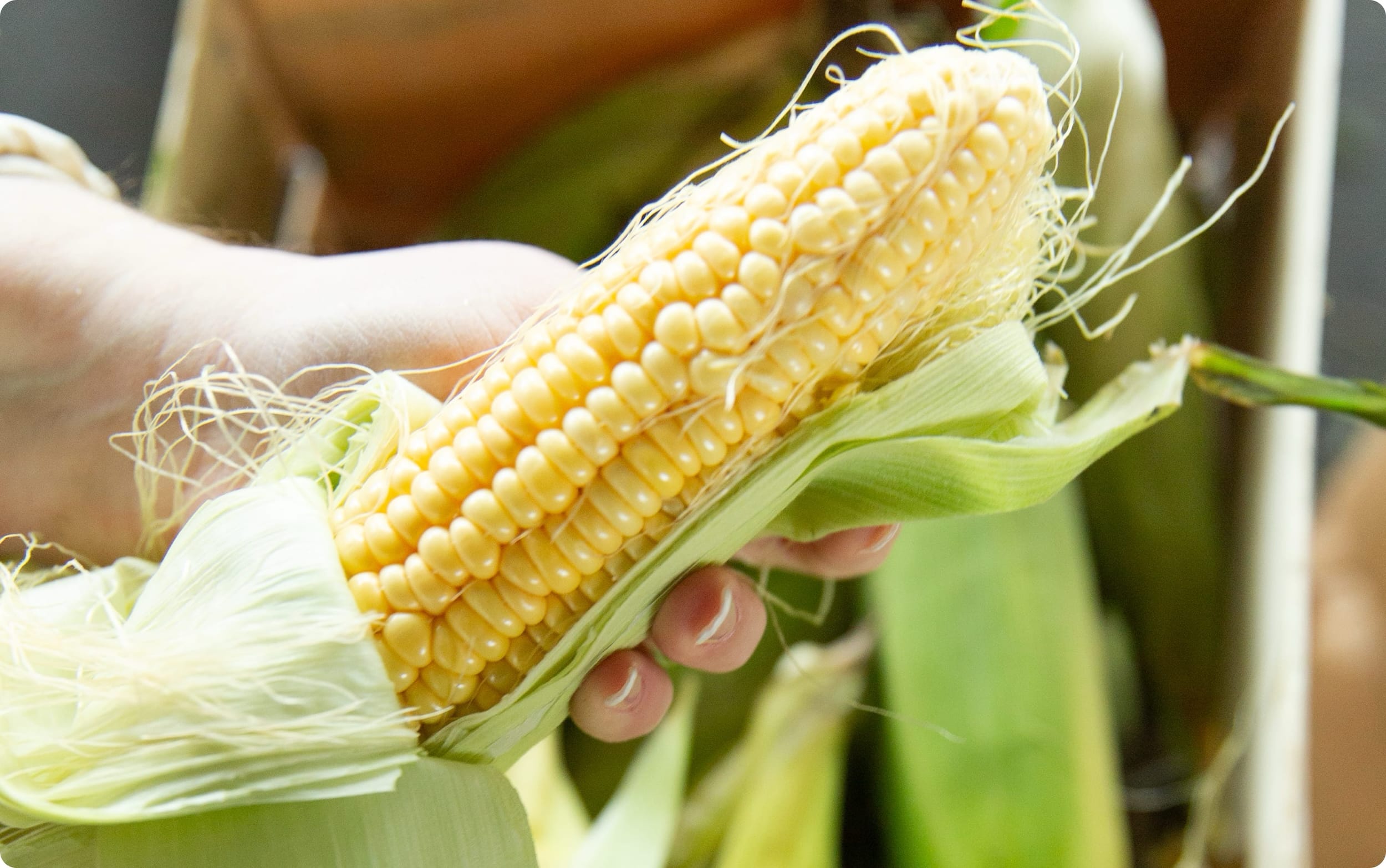 Portfolio detail media 2-4